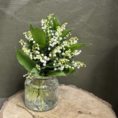 Nature muguet